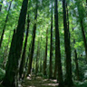 Meet your Posher, Chantelle